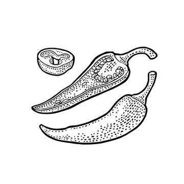 Chilli whole, half and slice. Vector vintage engraved Stock Illustration
