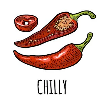 Chilli whole, half and slice. Vector vintage engraving Stock Illustration