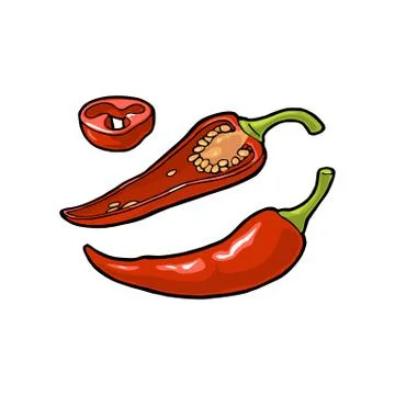 Chilli whole, half and slice. Vector vintage engraving Stock Illustration