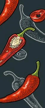 Chilli whole, half and slice. Vector vintage engraving Stock Illustration