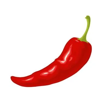 Chilli whole. Vector flat color illustration. Stock Illustration