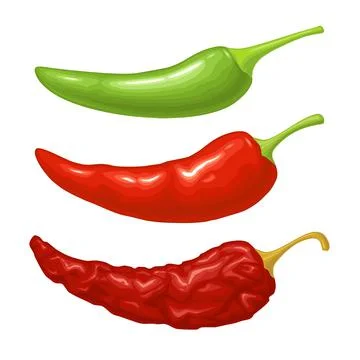 Chilli whole. Vector realistic color illustration. Isolated on white Stock Illustration