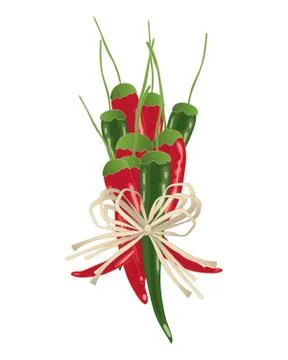 Chillies bundle Illustrazione stock