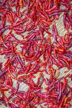 Chillies drying outside Stock Photos