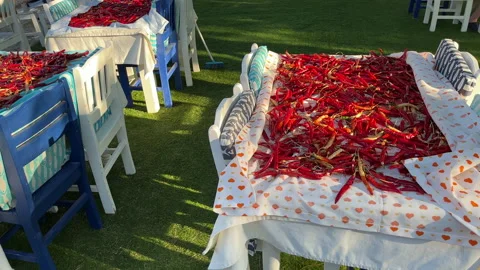 Chillies Drying In The Sun In Bodrum Stock Footage 205489377