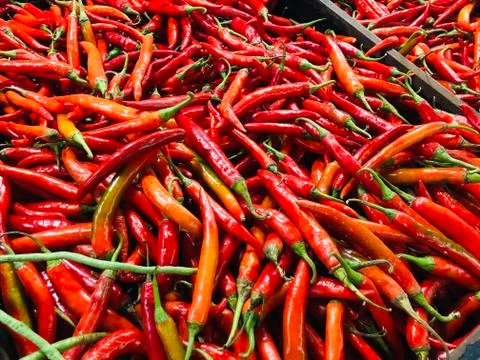 Chillies Stock Photos