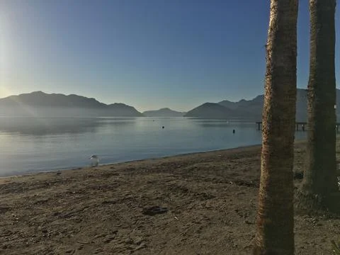 Chilling on the beach Stock-Fotos