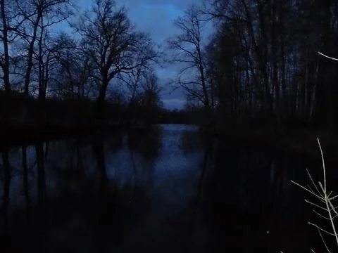 Chilling cold image of dark forest around black water pond. Foto stock