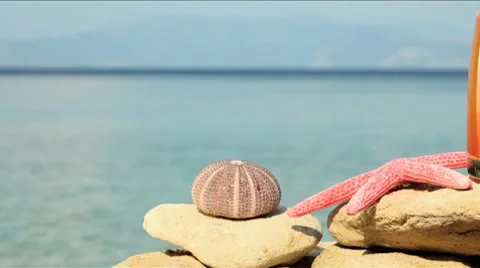 Chilling out Stock Footage 7763333