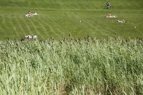 Chilling on the park Stock Photos