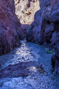 Chilling Stream. Stock Photos