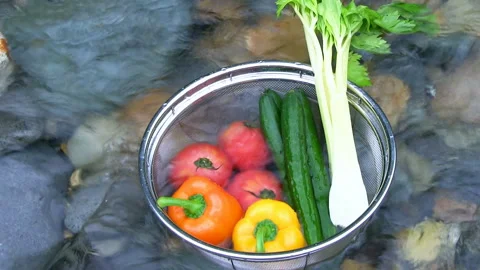 Chilling Vegetables in the Early Summer Stream Video stock 327468066