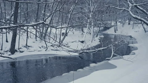 Chilly Blue Winter Landscape next to a river. Version 2 Vidéo 300056865