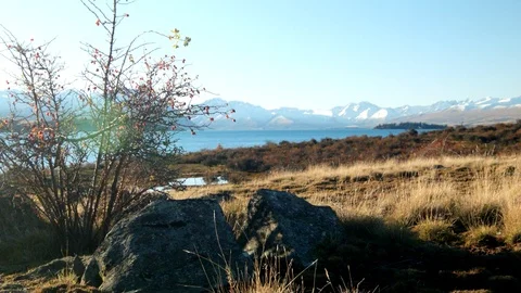 Chilly evening light on a tussock landscape Stock Footage 90831557