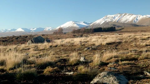 Chilly evening light on a tussock landscape, mountains beyond Stock Footage 90831673