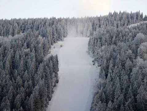 Chilly morning scene showcasing pristine ski trail amid snowcovered trees a.. Stock Photos