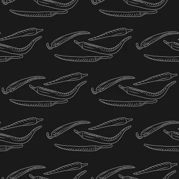 Chilly pepper on blackboard. Hot pepper wallpaper. Stock Illustration