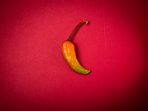 Chilly pepper isolated on red background Stock Photos