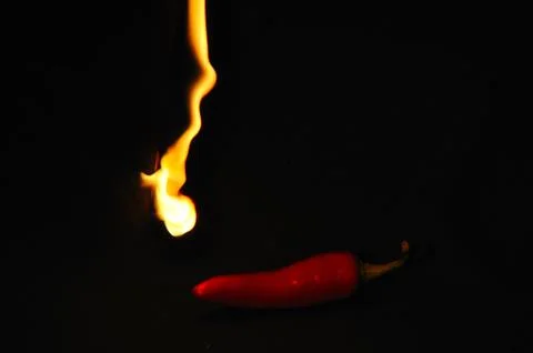 Chilly pepper Stock Photos