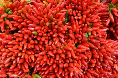 Chilly peppers Stockfoto's