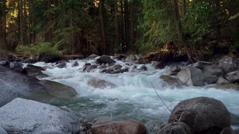 A Chilly River in the Forest Stock Footage 251291644