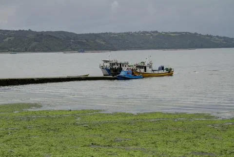Chiloe chile Stock Photos