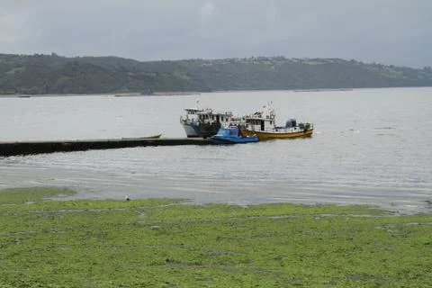 Chiloe chile 스톡 사진