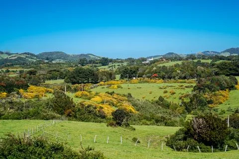 Chiloe, Chile Stock Photos