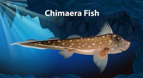 Chimaera Fish Vector Design Stock Illustration