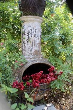 Chimalaya Stock Photos