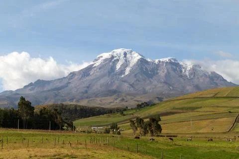 Chimborazo Foto stock