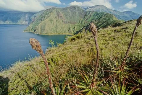 Chimborazo Stock Photos