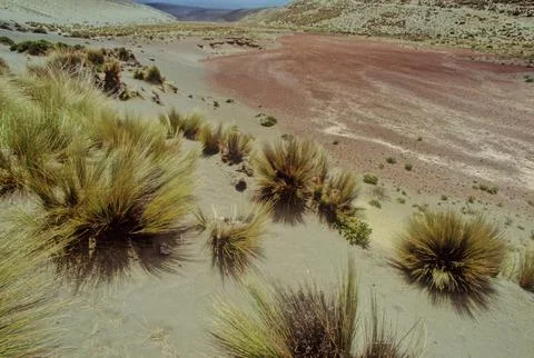 Chimborazo Stock Photos