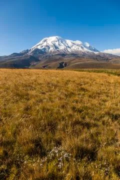 Chimborazo at sunset Stock Photos