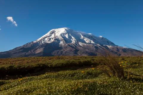 Chimborazo at sunset Stock Photos