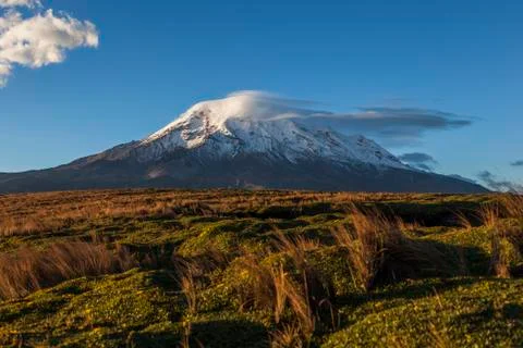 Chimborazo at sunset Stock Photos