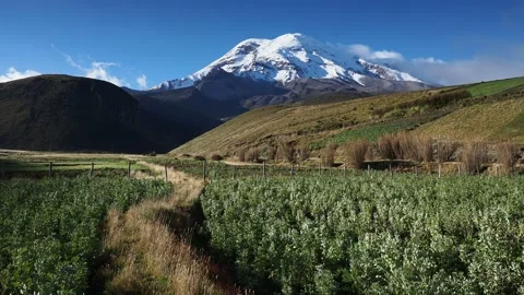Chimborazo Volcano in Ecuador Stock Footage 95564288