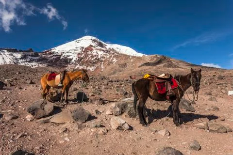 Chimborazo volcano Stock Photos
