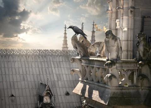 Chimeras on Notre Dame Stock Photos