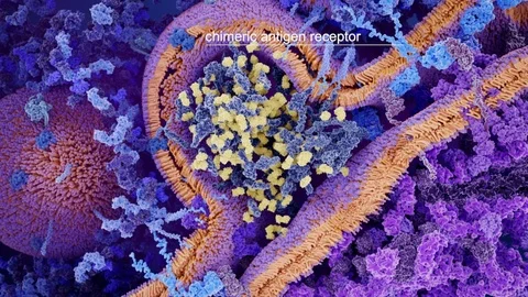 Chimeric antigen receptor (CAR) therapy of cancer Video stock 113244569
