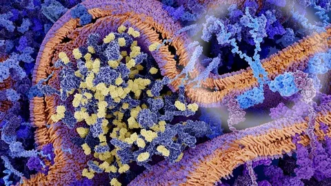 Chimeric antigen receptor therapy, part 2 Video stock 113244526