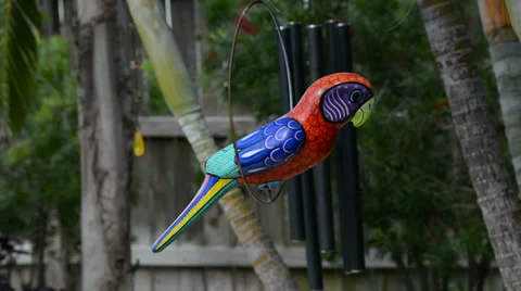 Chimes in Backyard Florida Stock Footage 38949241