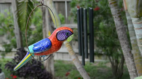 Chimes in Backyard Florida Stock Footage 38950497