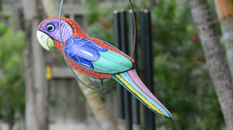 Chimes in Backyard Florida Stock Footage 38951399