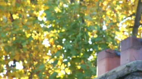 Chimminy.mp4 Stock Footage 334281