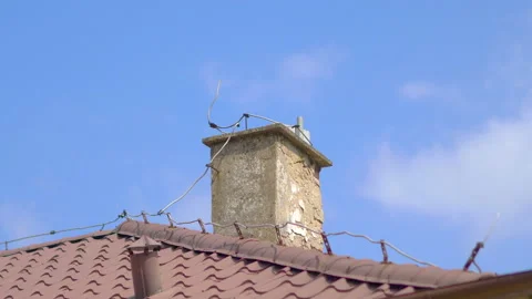 Chimney in 4K slow motion 60fps Stock Footage 161463196