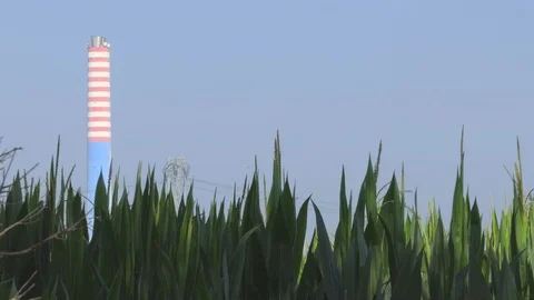 Chimney and wheat field Stock-Footage 112002978