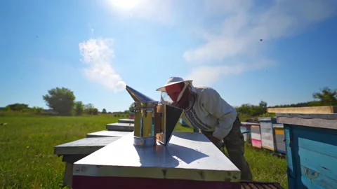 Chimney on apiary background. Beekeeper working with beehives in a sunny day. Stock Footage 134789796