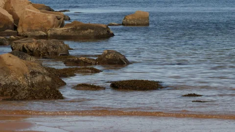 Chimney Corner Beach, Cape Breton, Nova Scotia, Canada Stock Footage 231252900