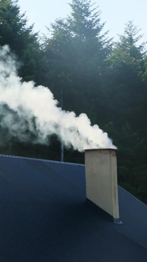 Chimney of forest house emits stream of white smoke Stock Footage 320860760